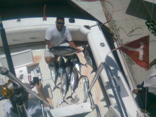 Pesca de atun